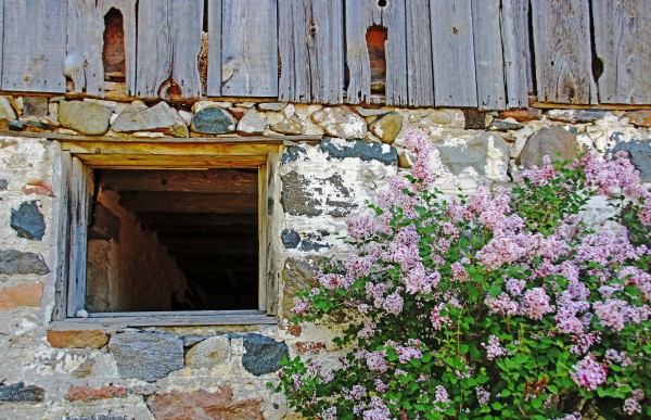Window Framed by Deb Oppermann